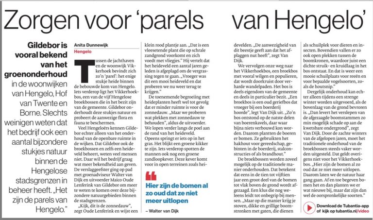 Gildebor zorgt voor 'parels van Hengelo'